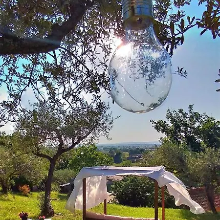 Lejlighed La Casa Tra Gli Ulivi