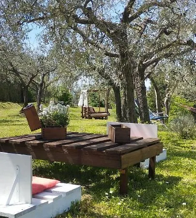 La Casa Tra Gli Ulivi * Cortona