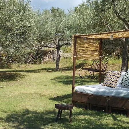 La Casa Tra Gli Ulivi Lejlighed