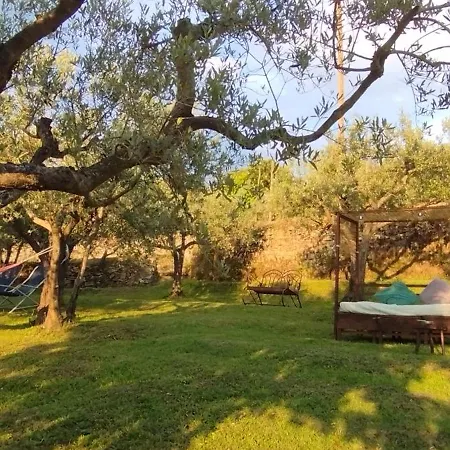 Bed & Breakfast La Casa Tra Gli Ulivi