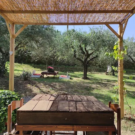 La Casa Tra Gli Ulivi Lejlighed *